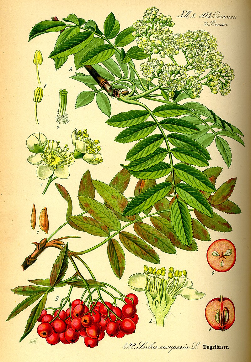 102